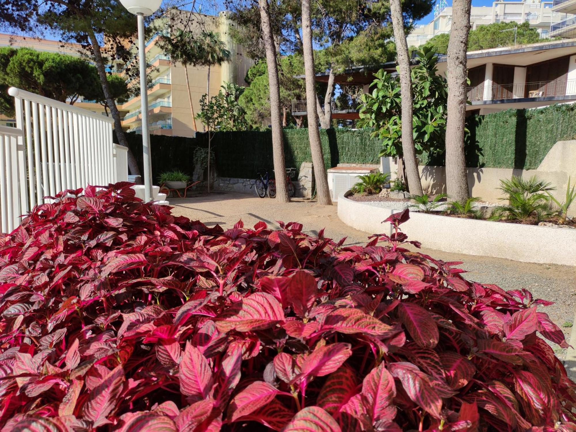 Paradis Salou, Centro Turistico, Wifi, Piscina, Vistas Al Mar Bagian luar foto